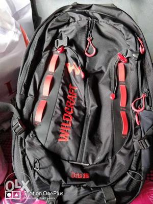 Black And Red Backpack