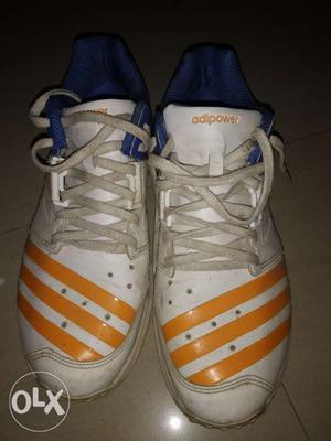 Cricket spike shoes adipower vector 2time used
