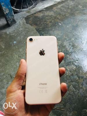 Iphone 8 64gb Only 2 Month Using Goldcolour With
