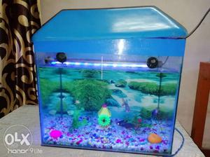 18inch×15inch Aquarium In Newly Condition,With