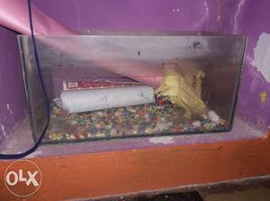 2 aqram for fish's it's good condition