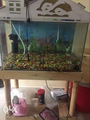 2 feet fish tank,stand,motor,stone,heater
