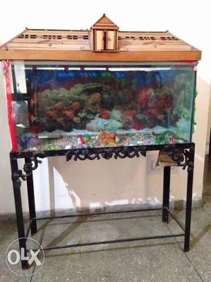 3 foot aquarium with stand and all accessories