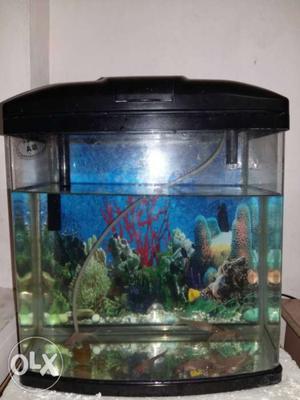 30 Liters fish tank few months old with air pump.