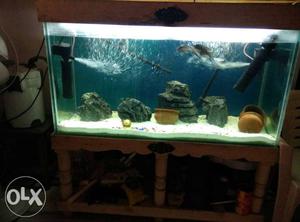 4feet fish tank with stand and top.