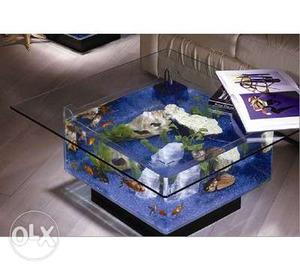 Aquarium center table customized-new. We take
