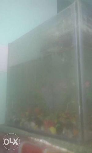 Aquarium with oxygen and net and food and stones
