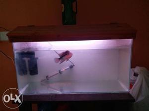Big fish tank with water filter, Heater with
