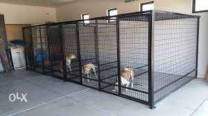 Custom Kennels and Cages