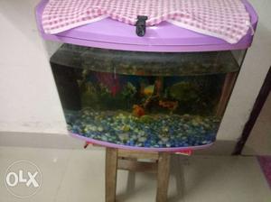 Empty fiber fish tank with air pump,heater and