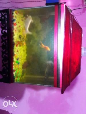 Few days old fish aqurium with iron stand and