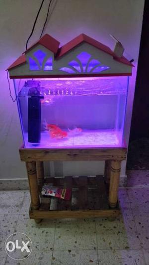 Fish Tank - 3 months old. Includes Fish tank, 2