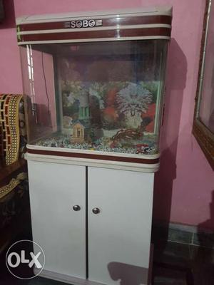 Fish aquarium for sale only 8 month used with