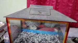 Fish aquarium with stones & cover only on 800