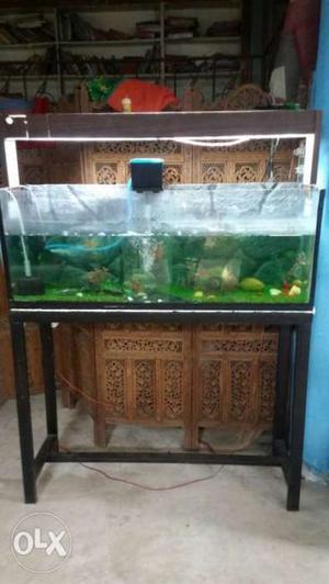 Fish aquariums 4 feet with stand and 6 fish and 2