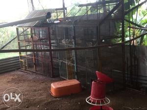 Heavy weight cage suitable for all type of birds