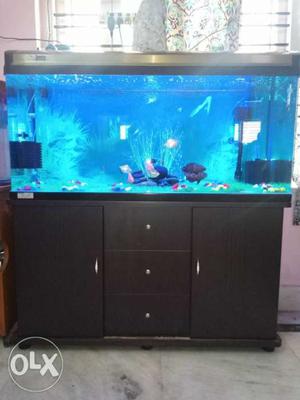 Imported aquarium with cabinet, fish and all