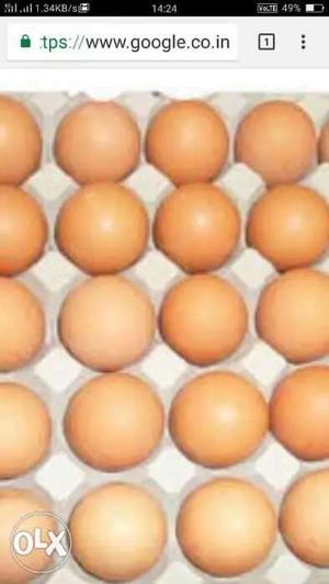 NATU KODI EGGs brown colour eggs Puri arganic