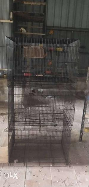 New black China cage for sales location Chennai