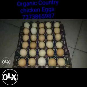 Organic country chicken Eggs now at this price