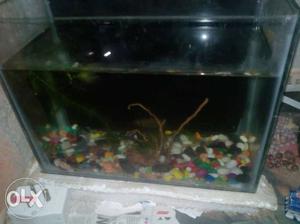 Small fish tank. and small stone s
