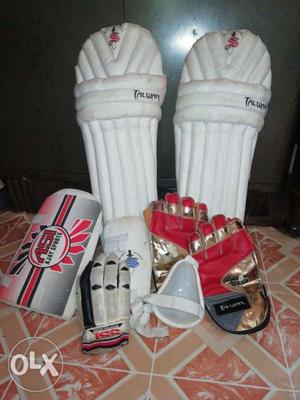 1 year old cricket kit