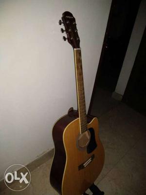 Arya AWN-15CN Guitar