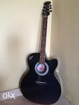 Fully new guitar...not even used