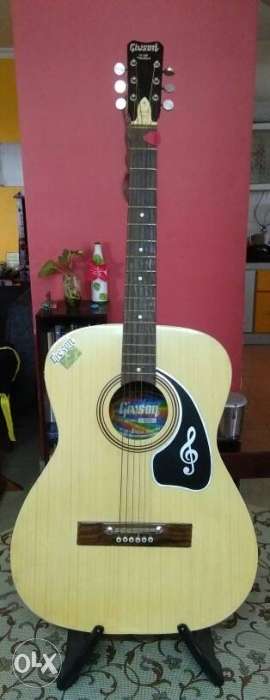 Givson Sparingly Used