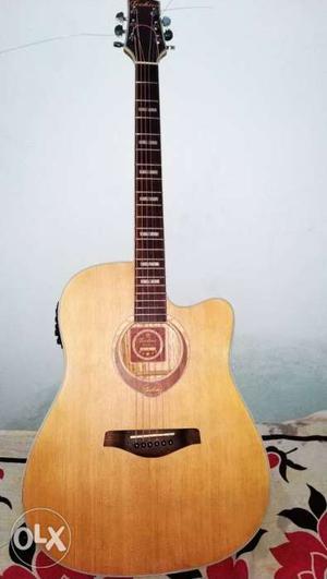 Guitar Semi-Acoustic Techno(Malaysia import) With Cover and