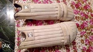 Pair of cricket pads