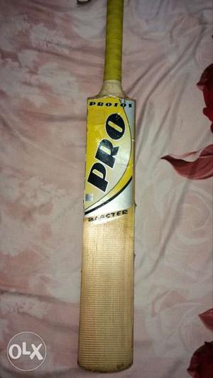 Protos Cricket Bat. Kashmir Willow