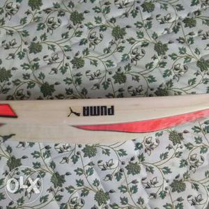 Puma 4.17 orange EVO speed English willow cricket bat with