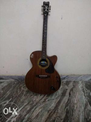 Tronad Rose wood guitar