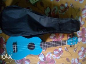 Ukulele (small guitar) with bag