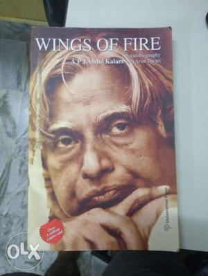 Wings Of Fire novel