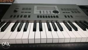 Casio ctk in brand new with bag and stand