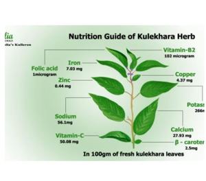 Kulerron | Kulekhara | Wonder Herb Kolkata