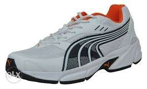 Puma Shoes - Discounted Rates available
