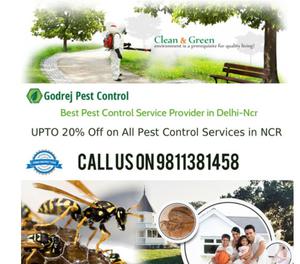 Best 20% discount Pest Control Dwarka and Termite Treatment