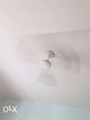 Ceiling fan 2 yrs old in excellent condition...