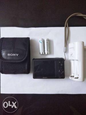 Sony cyber shot 3-0 perfect handy camera for