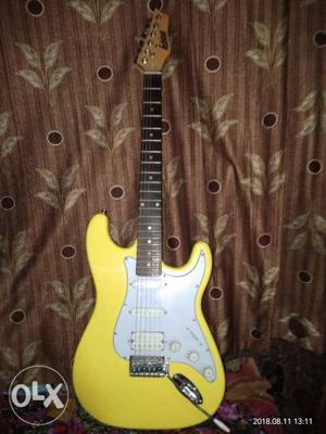Electric guitar cutaway, with all accesories,