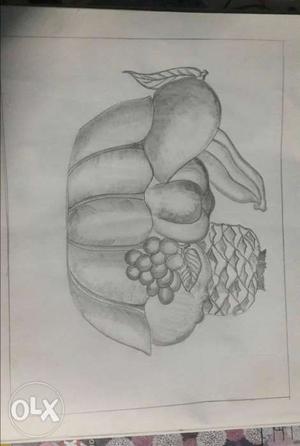 Fruits On Bowl Sketch