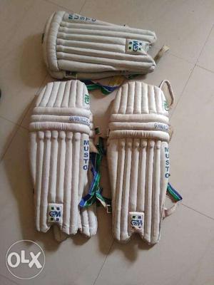 GM batting and keeping pads