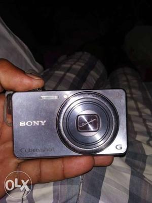 Person Holding Black Sony Point-and-shoot Camera