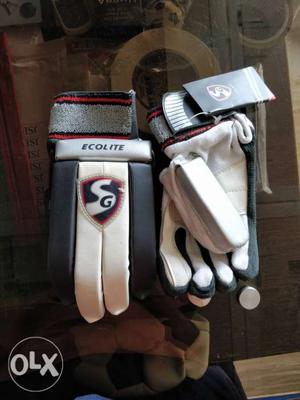 SG Batting Gloves Ecolite MRP 380