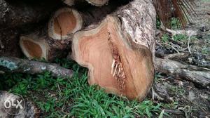 Teak wood/Sagavaani wood.Ready standard size.