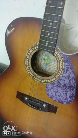 Acoustic Guitar with an extra set of strings.