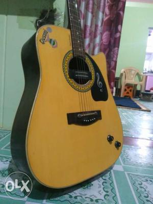 Gibson hollo Guitar with carry beg